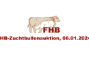 Beitragsbild zur Zuchtbullenauktion des FHB 2024