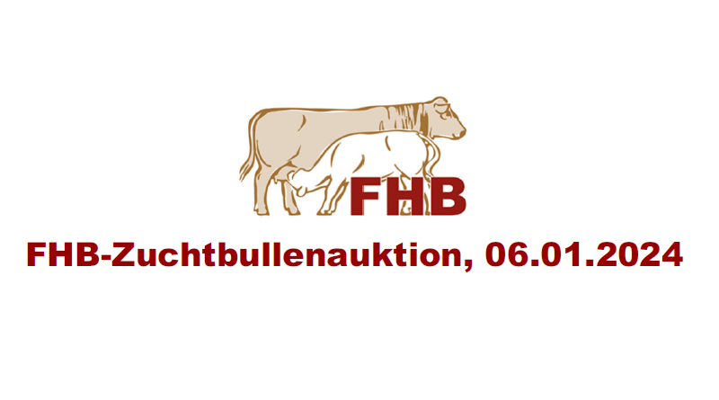 Beitragsbild zur Zuchtbullenauktion des FHB 2024