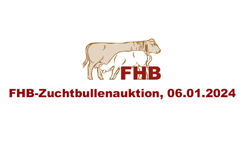 Beitragsbild zur Zuchtbullenauktion des FHB 2024
