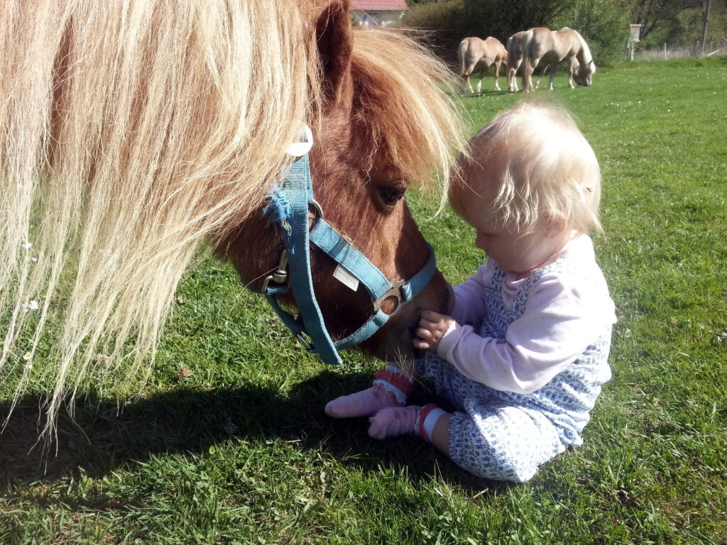 Bauernhof 4 Linden Kind mit Pony