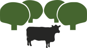 Angus vier Linden Logo